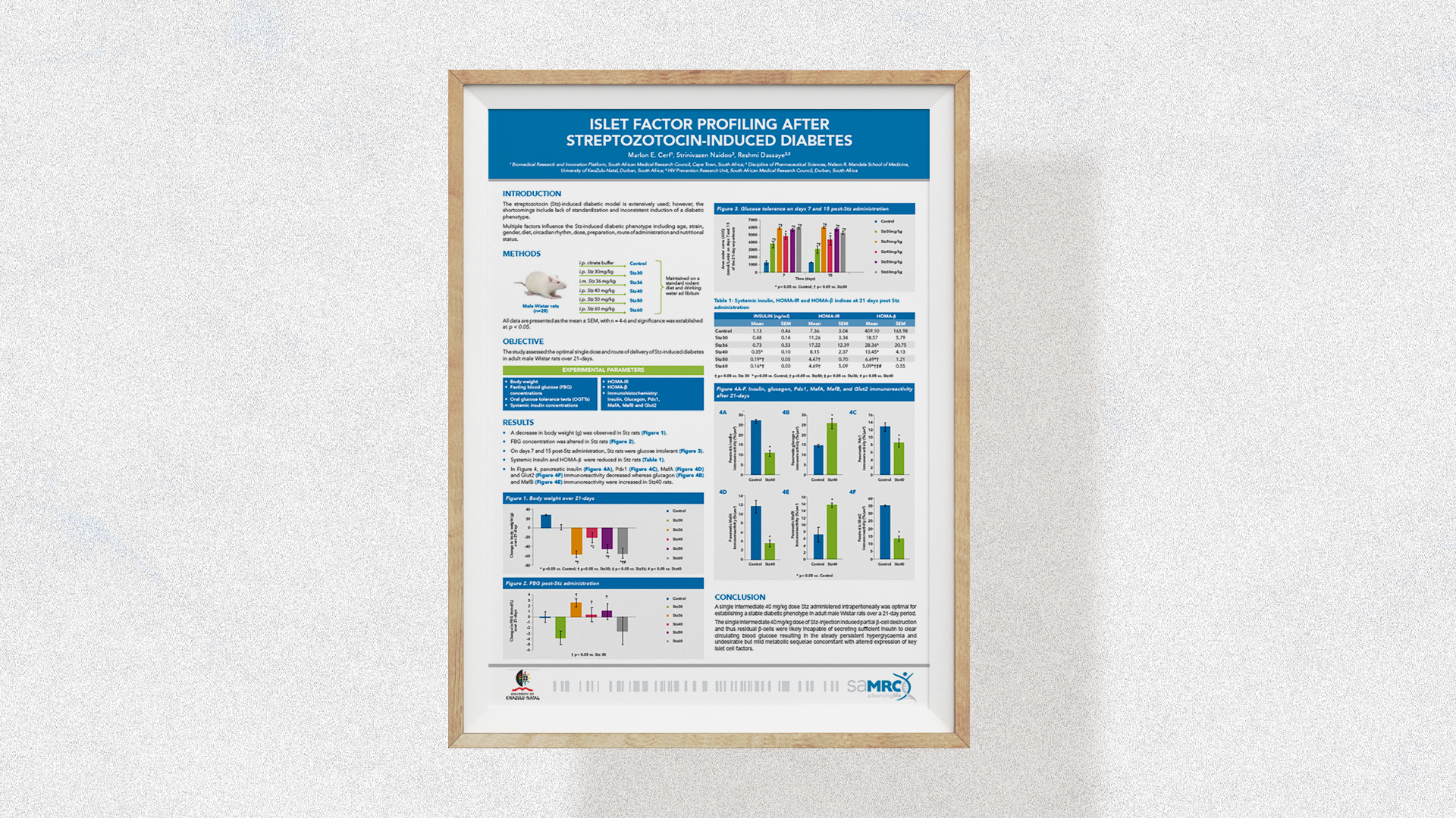 SAMRC Infographic Poster
