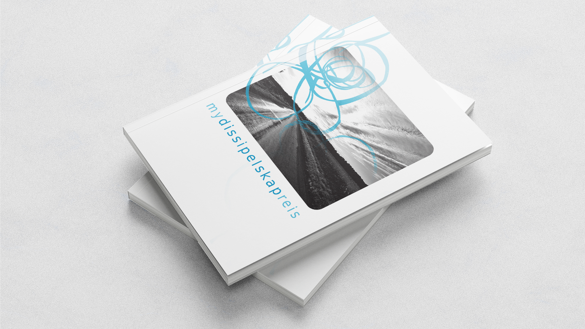 Dissipelskap Workbook